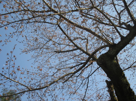 a0307846_17022774.jpg