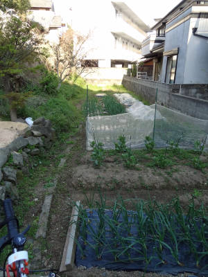 e0033751_2150351.jpg