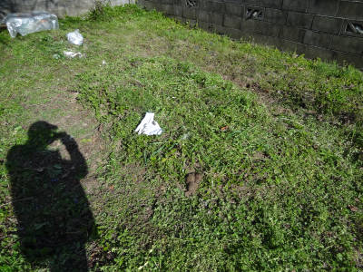 e0033751_2158987.jpg