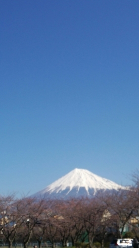 今日の富士山_b0292155_13134044.jpg