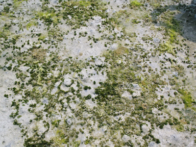 c0180460_02087.jpg