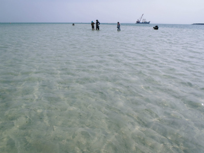 c0180460_06627.jpg