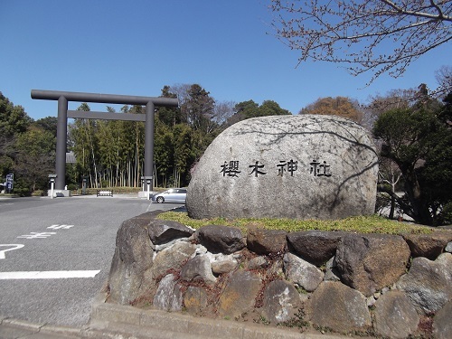 春なので櫻木神社に行ってみた_a0064067_22023541.jpg