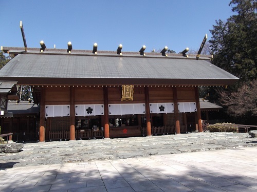 春なので櫻木神社に行ってみた_a0064067_22025723.jpg