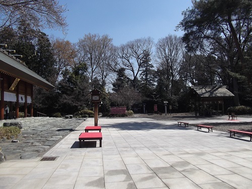 春なので櫻木神社に行ってみた_a0064067_22030099.jpg