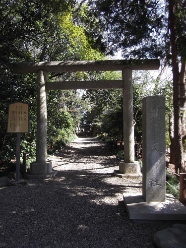 春なので櫻木神社に行ってみた_a0064067_22032870.jpg