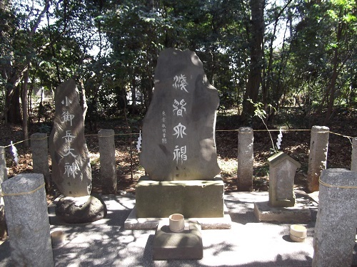 春なので櫻木神社に行ってみた_a0064067_22032907.jpg