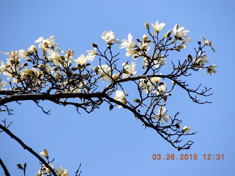 f0104277_86536.jpg