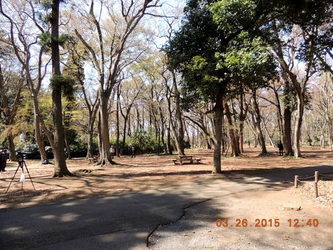 f0104277_871411.jpg