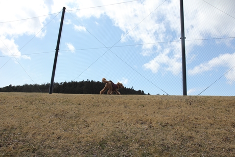 c0283778_10543053.jpg