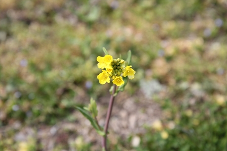 c0283778_1171120.jpg