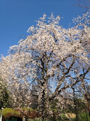f0138278_18113987.jpg