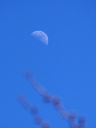 f0357183_22050040.jpg