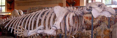 b0191190_12133605.jpg