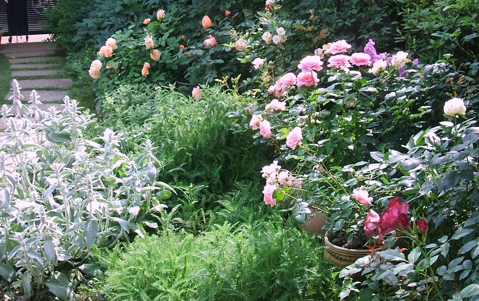 d0099791_0628.jpg
