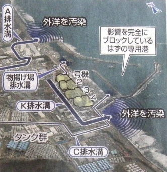 e0068696_7184289.png