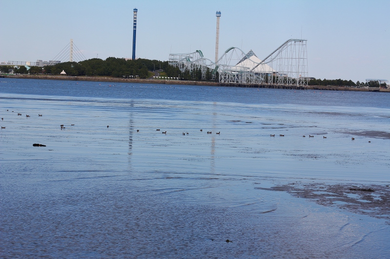 c0204298_2050162.jpg