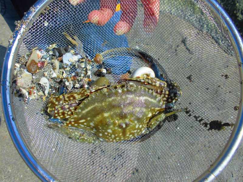 c0204298_218363.jpg