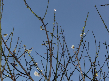 a0203003_19283034.jpg