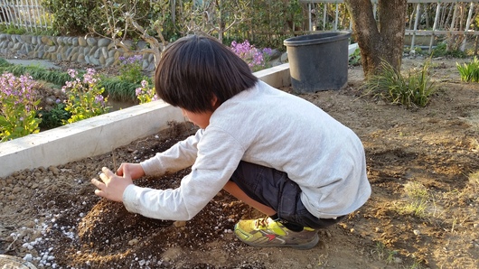 家族で庭遊び_d0080906_1923826.jpg
