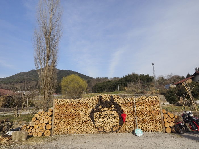 薪アートで、トトロ_c0116915_026477.jpg