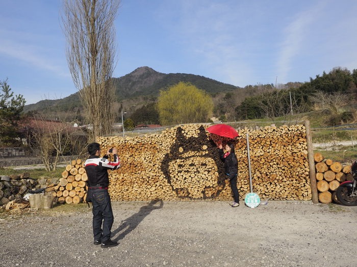 薪アートで、トトロ_c0116915_0272383.jpg