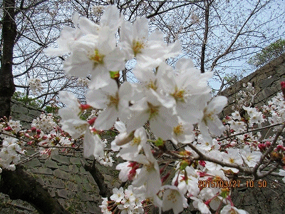 c0353919_723282.gif