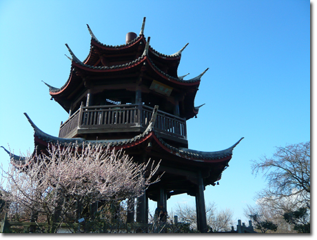 兵庫プチ旅 世界の梅公園 たつの市御津自然観察公園 結婚して西へ行くまで 西へ来た 兵庫プチ旅 世界の梅公園 たつの市御津自然観察公園 結婚して西へ行くまで 西へ来た