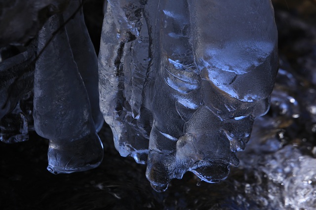 e0242721_851553.jpg