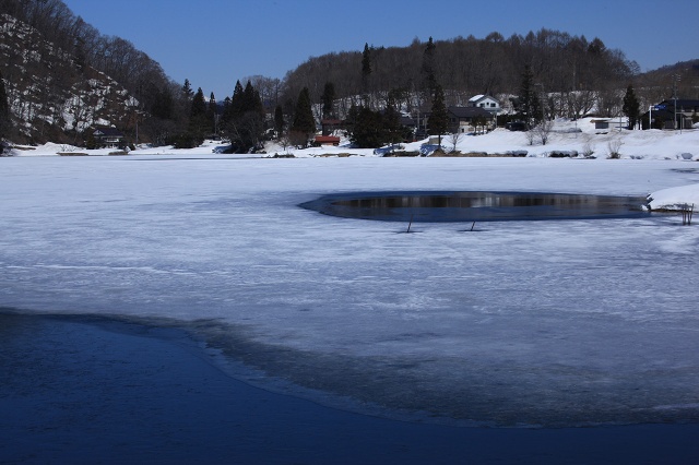 e0242721_863468.jpg