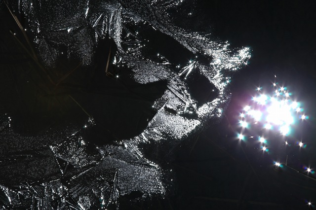 e0242721_87912.jpg