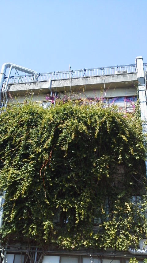 f0170822_13522609.jpg