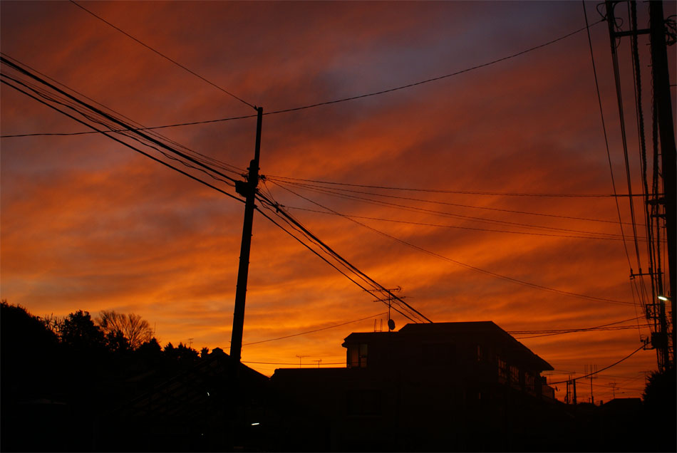 c0147123_5441653.jpg