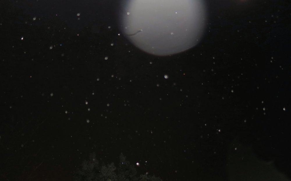 c0331825_19311714.jpg