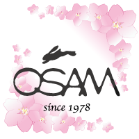 OSAMのバッグ　　きららの会_d0161928_142246.png