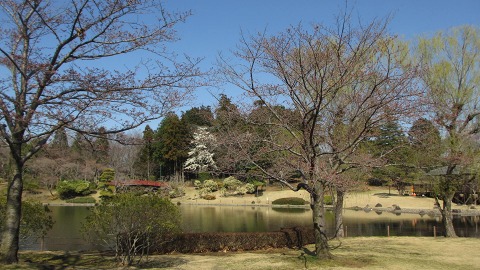 2015.03.27　爆弾ハンバーグフライングガーデン～中の島公園_e0202031_2248720.jpg