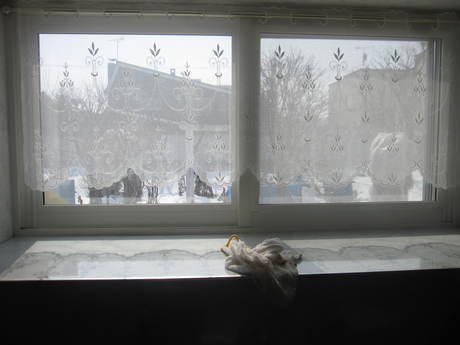 a0279743_1672937.jpg