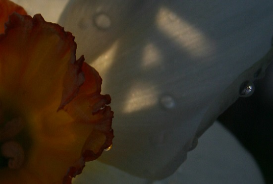 e0126350_23274488.jpg