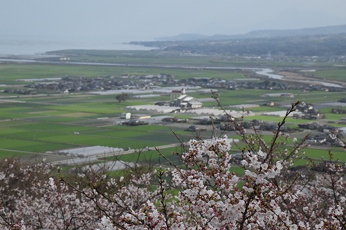 f0343750_2056481.jpg