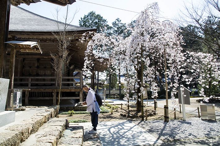 　四国霊場はお花へんろの巡礼です　29番　国分寺　ー高知県南国市国分ー_f0231460_2148676.jpg