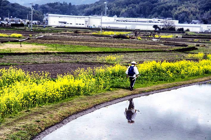 　四国霊場はお花へんろの巡礼です　29番　国分寺　ー高知県南国市国分ー_f0231460_2292396.jpg