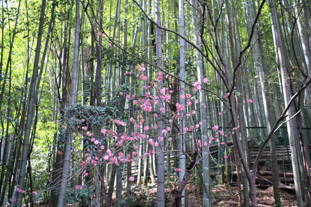b0055171_005241.jpg