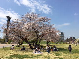 紫川リバーサイドフェスタ2015_b0112371_19112519.jpg