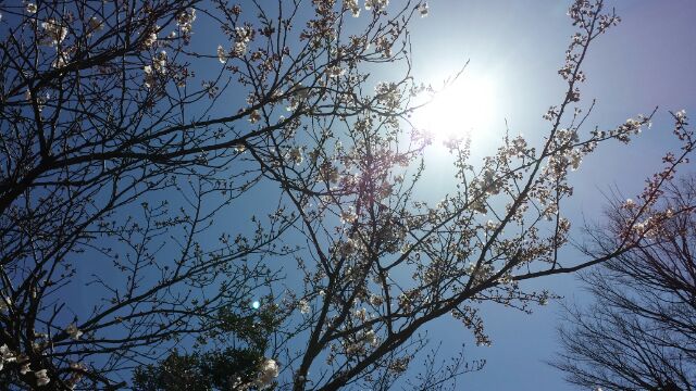 ありがとうございました!_f0278974_2117288.jpg