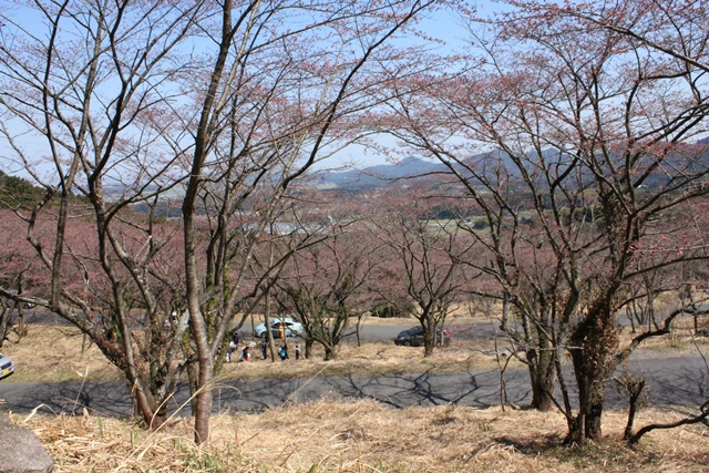 d0163575_23194521.jpg