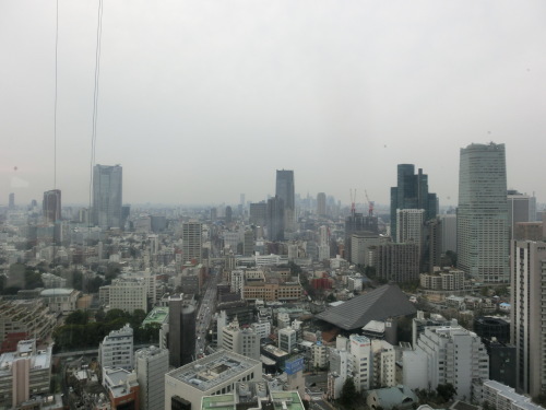 b0214184_15570195.jpg
