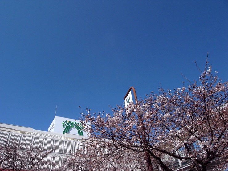 b0168993_8592745.jpg