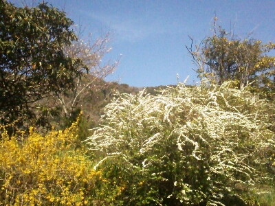 a0323194_15161070.jpg