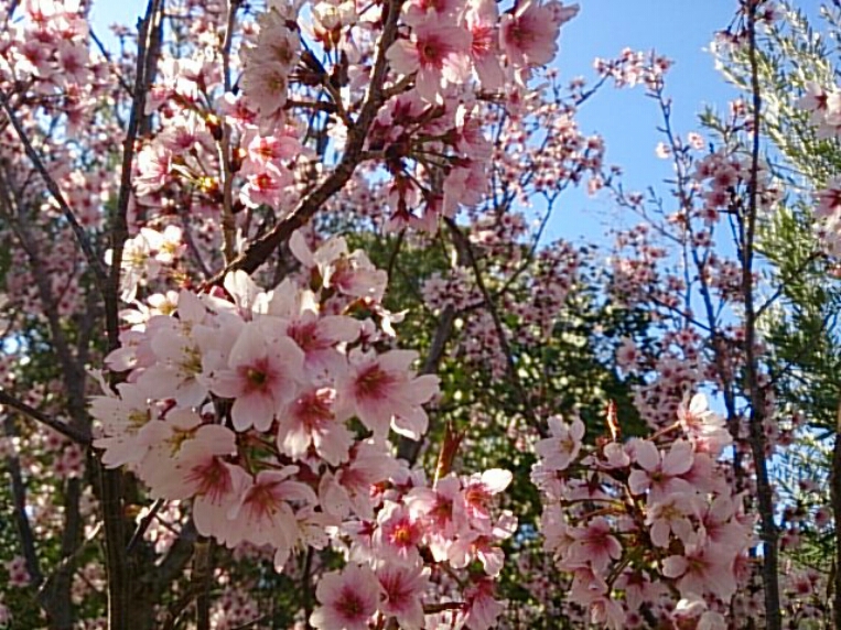 寝る前に。。_b0153002_020661.jpg