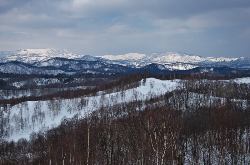 雨龍山（一等三角点）　雨竜町桜山公園から　　2015.3.8_f0200402_17365512.jpg